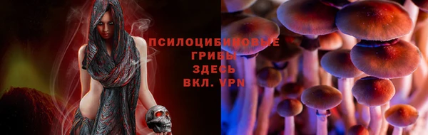 героин Алзамай
