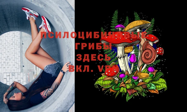 героин Алзамай