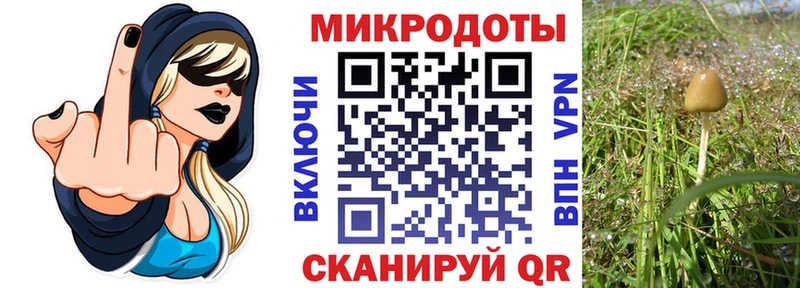 Псилоцибиновые грибы Magic Shrooms  даркнет телеграм  Андреаполь  что такое наркотик 