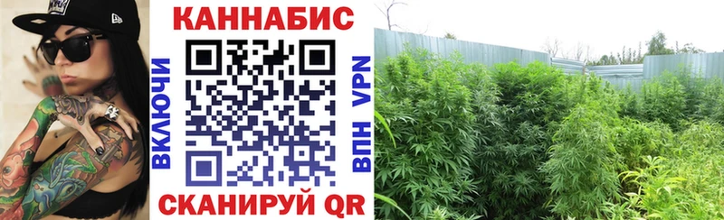 Бошки марихуана LSD WEED  сколько стоит  Андреаполь 